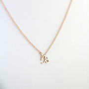 Picture of capricorn zodiac sign diamond necklace