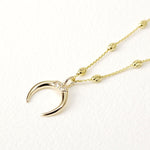 Load image into Gallery viewer, Picture of horn necklace double horn necklace 14k
