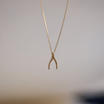 Load image into Gallery viewer, Picture of 14k gold wishbone necklace 14k gold
