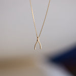 Load image into Gallery viewer, Picture of 14k gold wishbone necklace 14k gold
