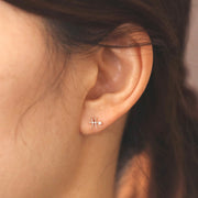 Picture of pisces zodiac sign diamond earring