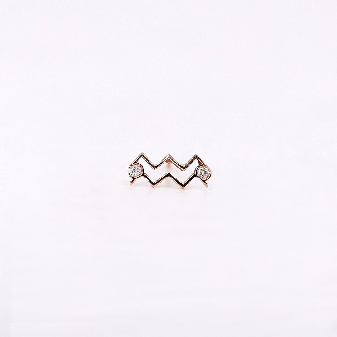 Picture of aquarius zodiac sign diamond earring