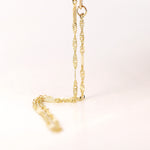 Load image into Gallery viewer, Picture of singapore chain with bar detail gold 1
