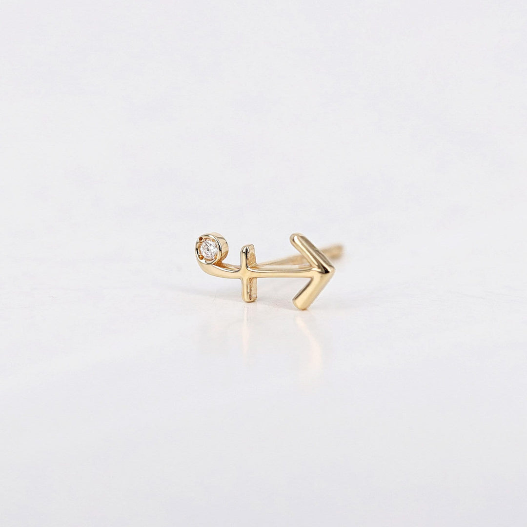 Picture of sagittarius zodiac sign diamond earring