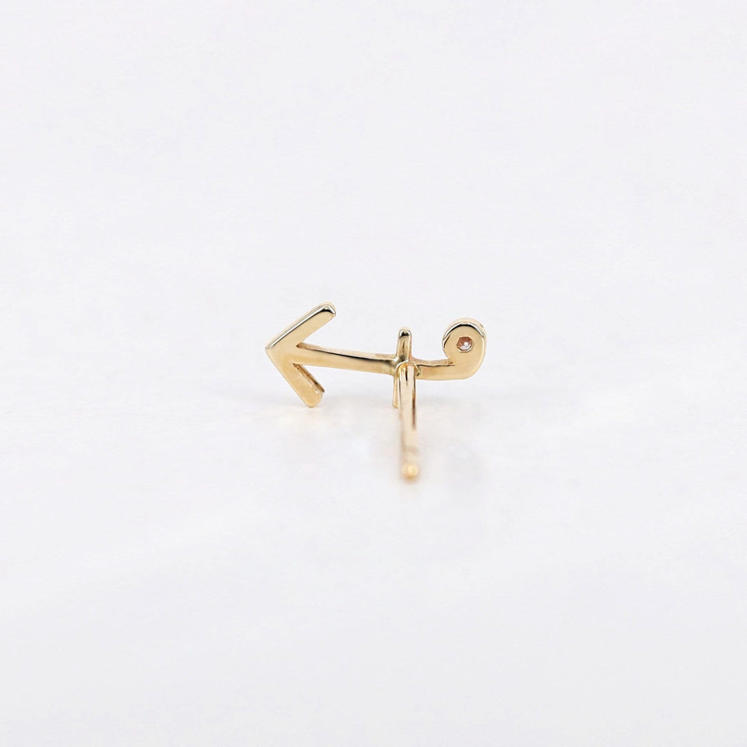 Picture of sagittarius zodiac sign diamond earring