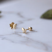 Picture of butterfly stud earrings summer earrings